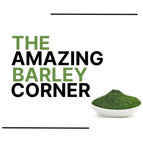 The Amazing Barley Corner 